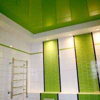 1020 Потолок натяжной в ванной: практичность и изысканность