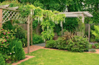29422 Как подобрать вьющиеся растения для вертикального озеленения сада