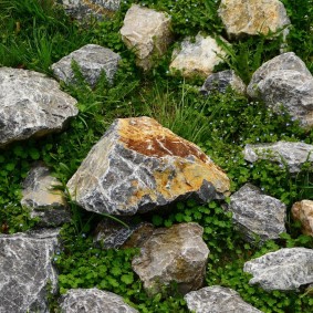 Красивые камни на дачном участке
